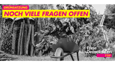 Guido Fischer Grünsatzung